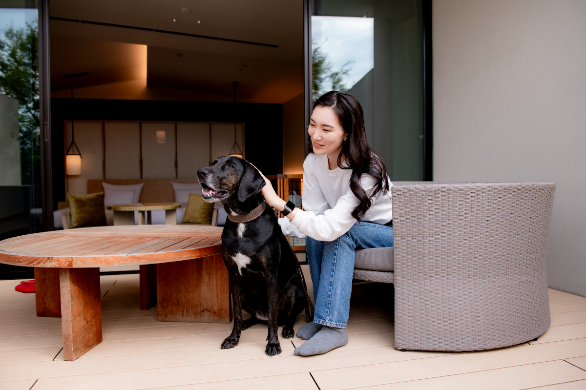 ドッグフレンドリー Wa Modern