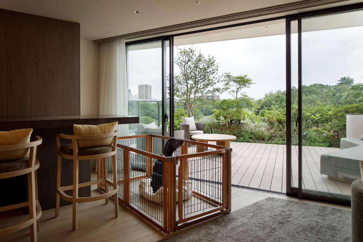 ドッグフレンドリー スパスイート