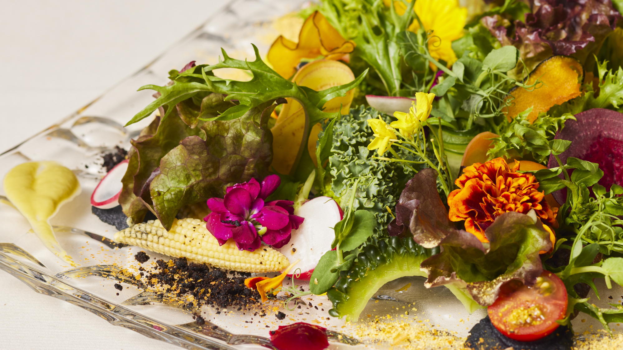 大地のサラダ