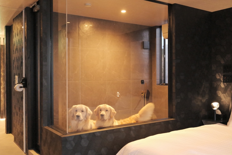 【夕食BBQ食材付き：6名まで】