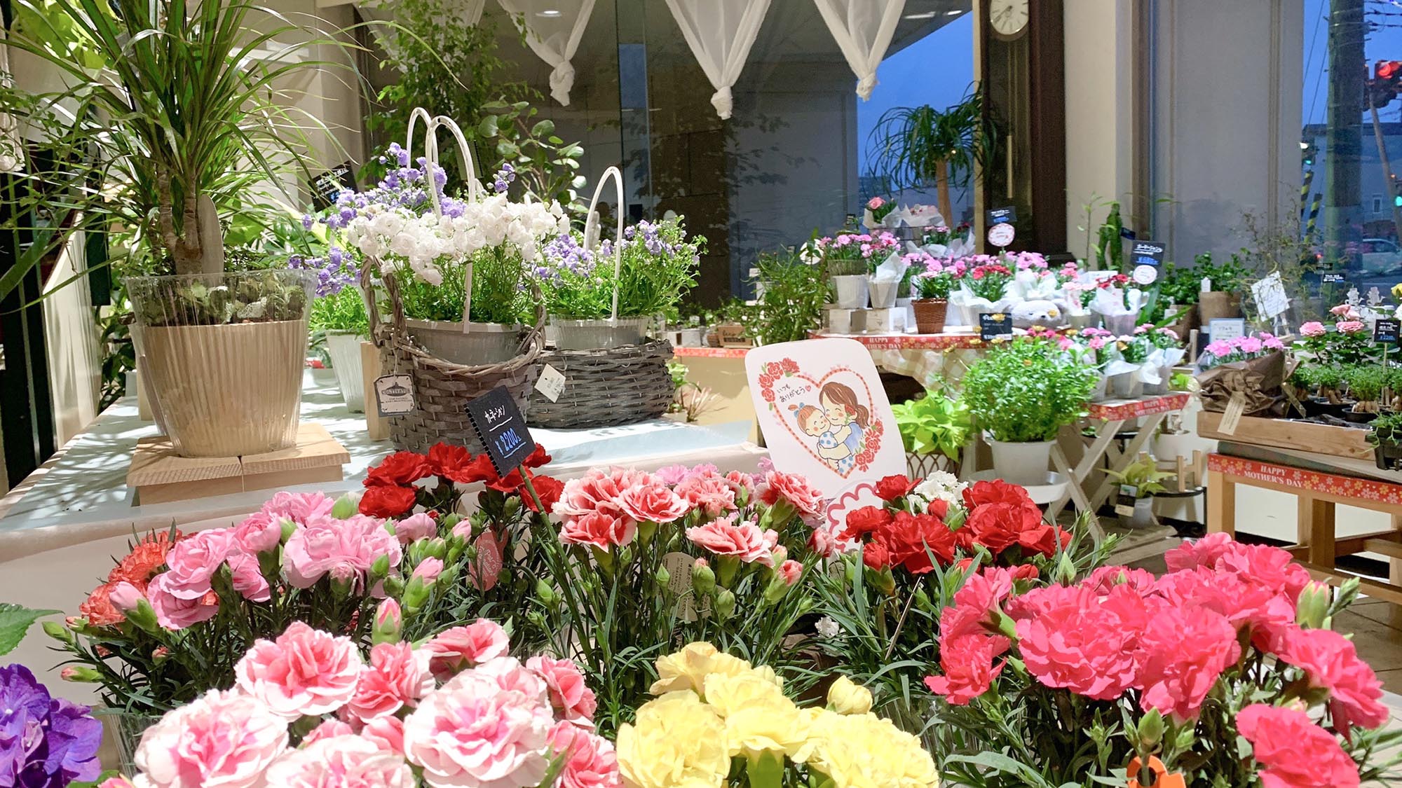 ・【フラワーショップ】母の日や誕生日のお祝いにもご利用ください
