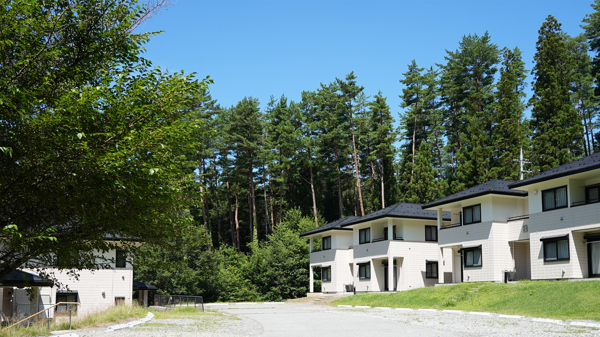 外観：ご自宅のような安心感があるお部屋です。ご友人同士やご夫婦でリラックスしてお過ごしください