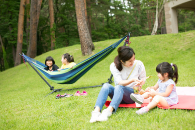 2ピクニックランチ３