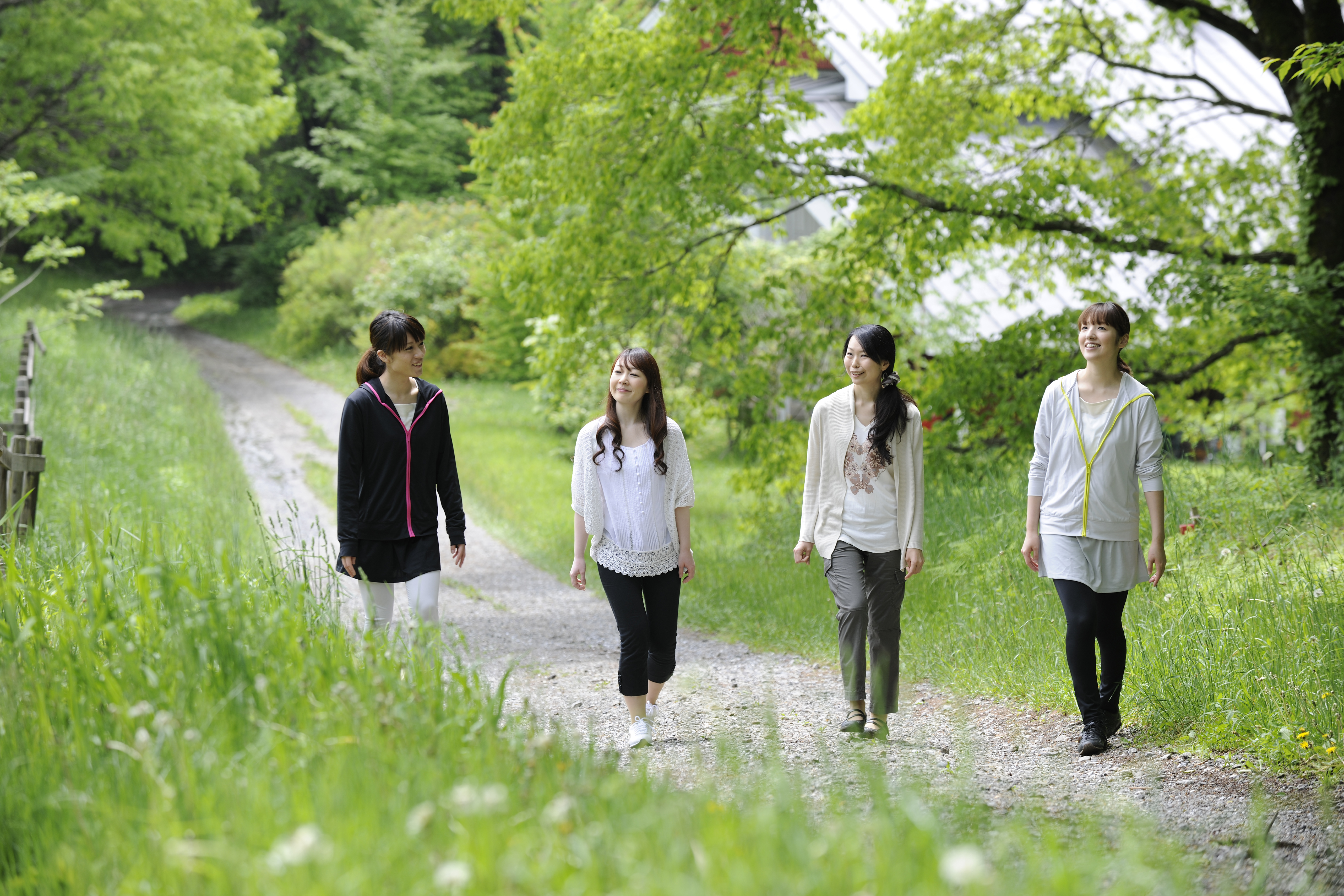 周辺は静かな森