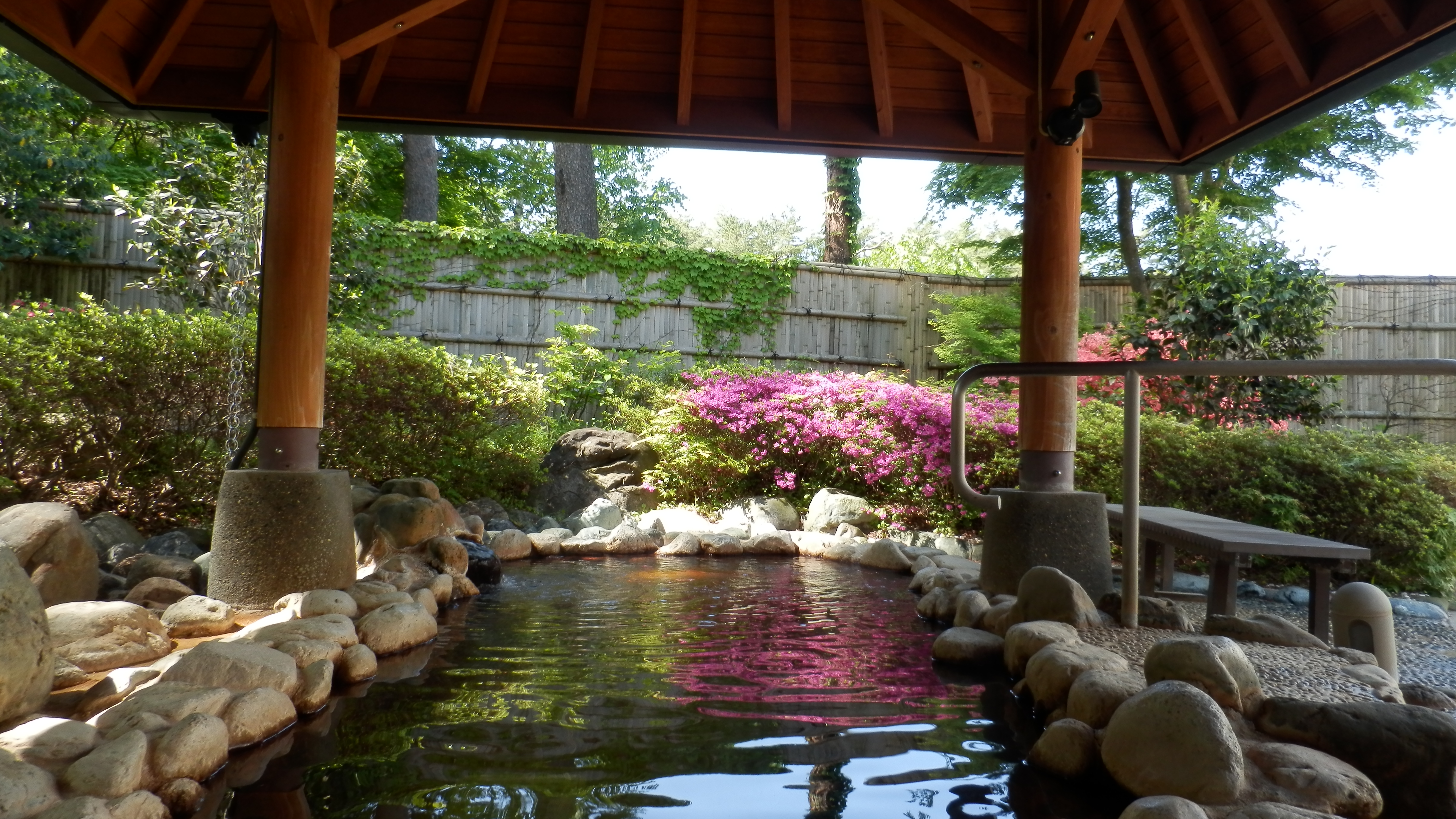 温泉チケット付きプラン_延命の湯（岩風呂）