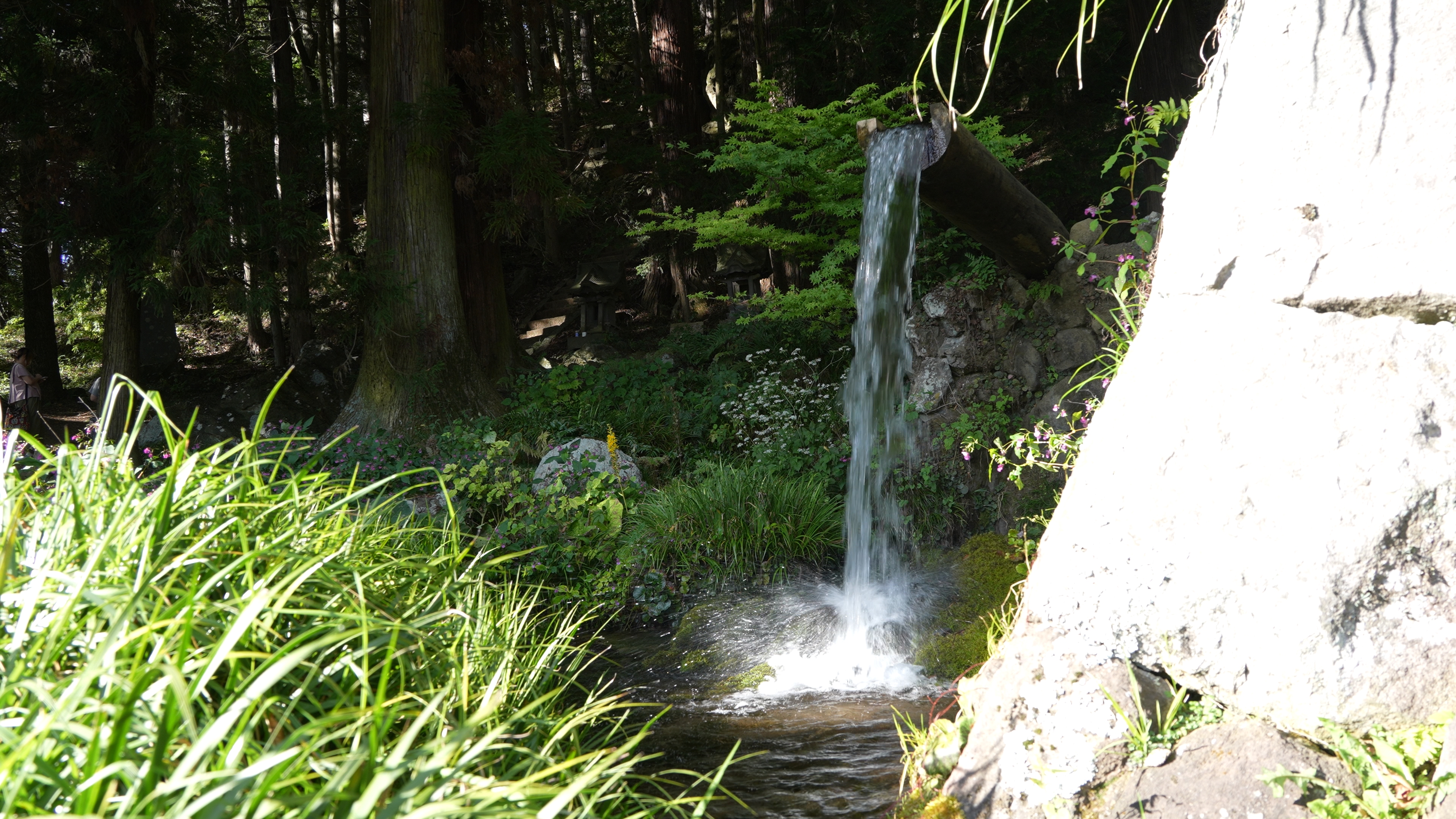 大滝湧水　持ち帰り可能な湧水が湧き出ています