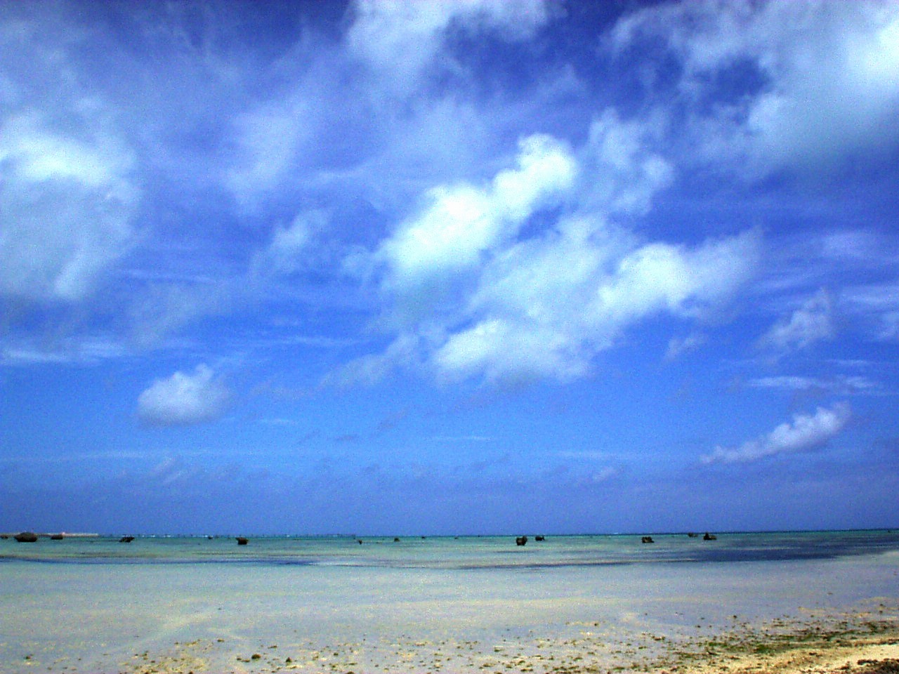 【佐和田の浜】