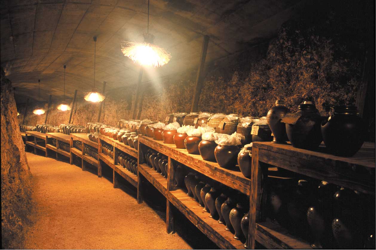 【多良川洞窟】