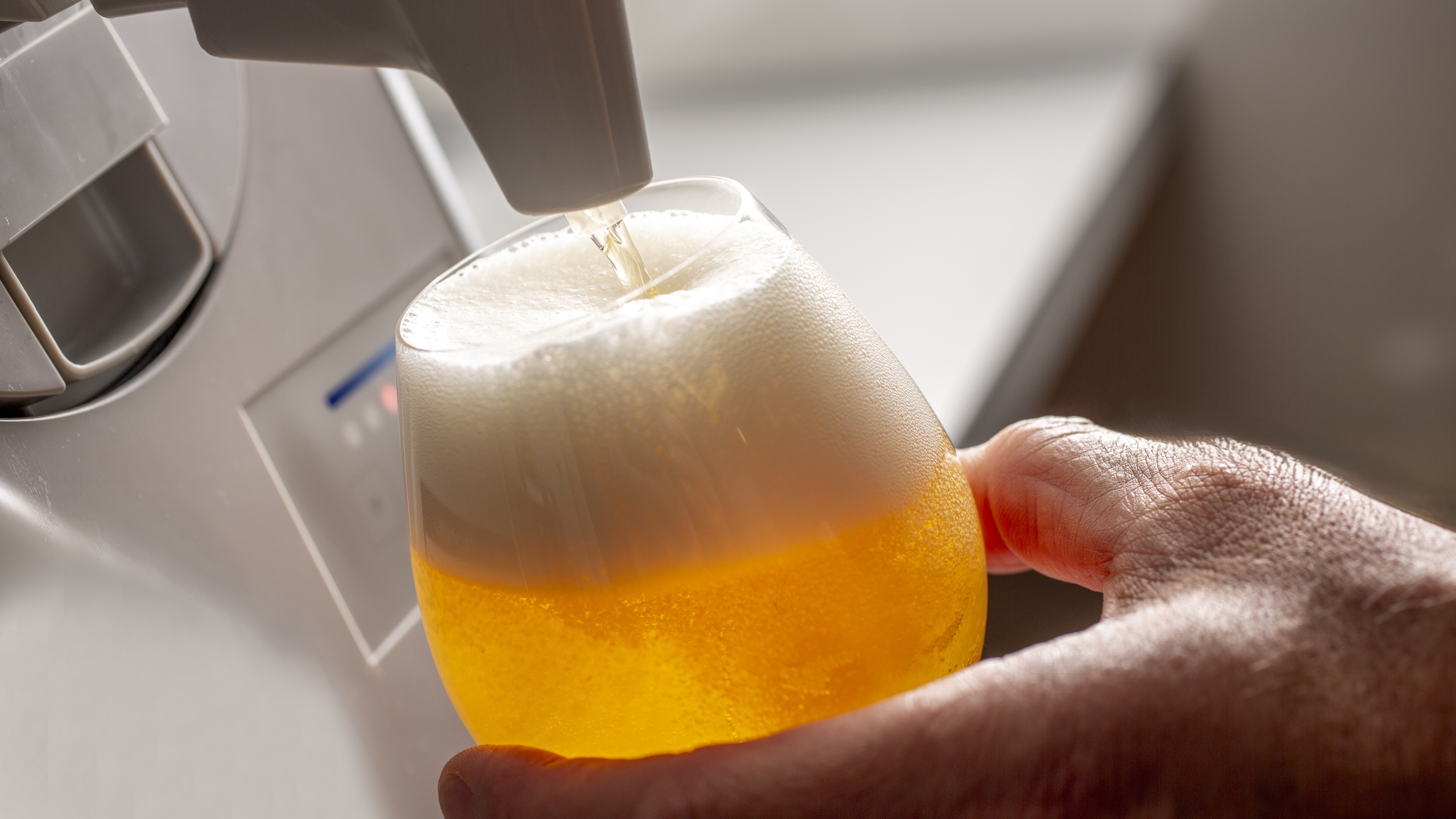 【キッチン】ビールサーバーも完備、ご家族やお友達とご一緒に、丹後でのひと時を存分にお楽しみ下さい。