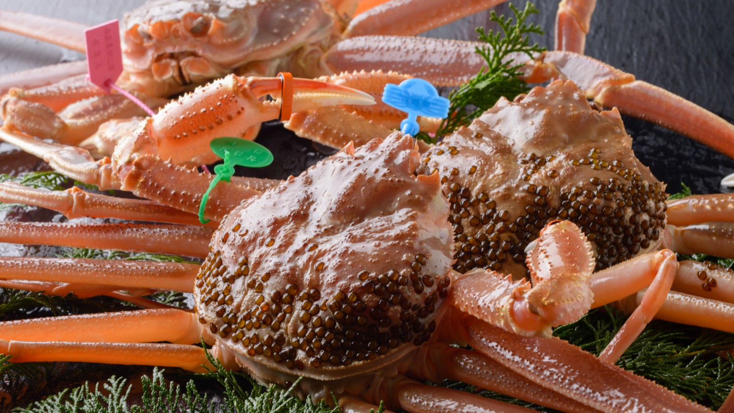 【夕食オプション】冬の味覚の王様・活松葉ガニを、お一人様につき1杯ご用意。