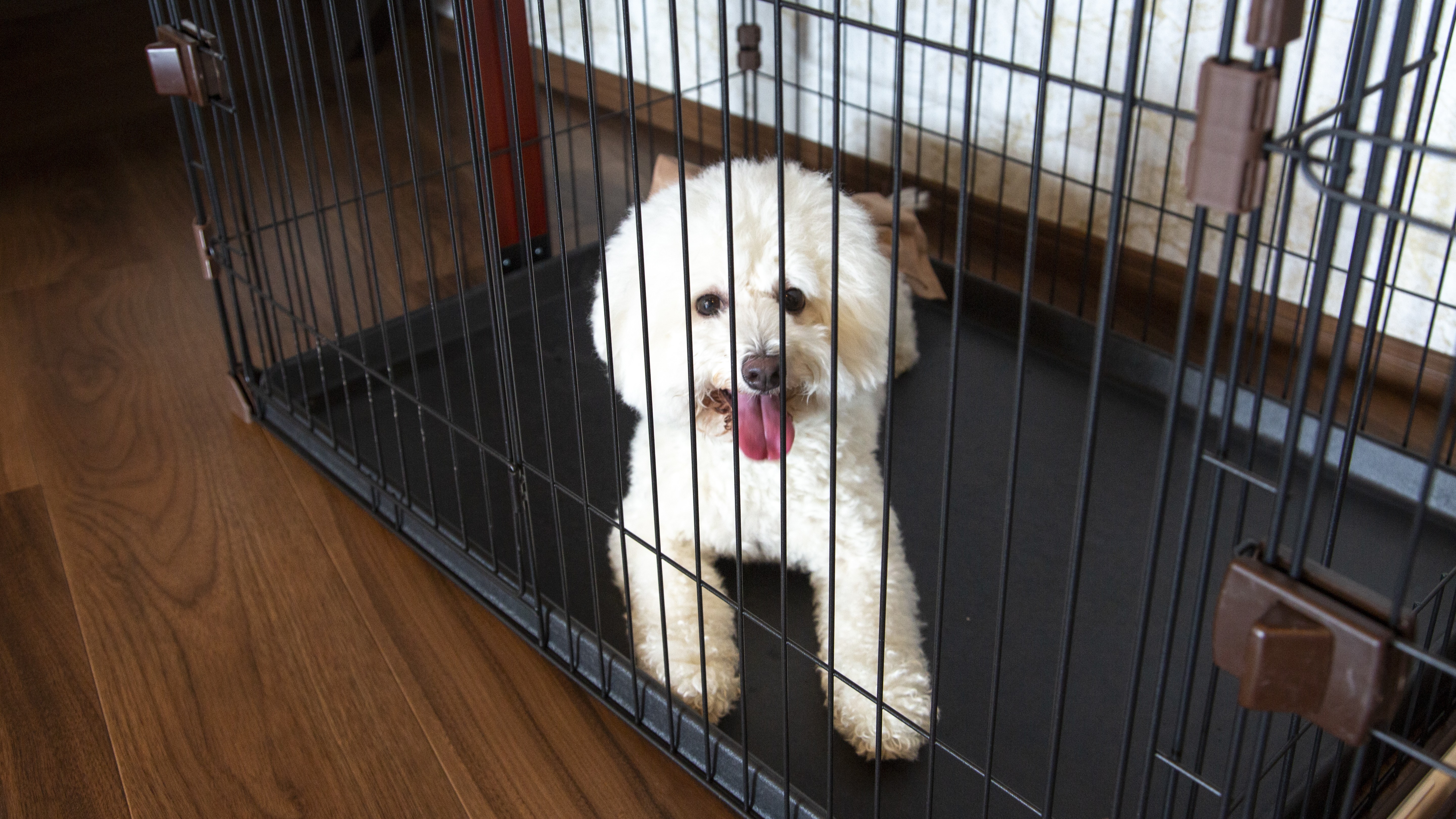 【ゲージ】館内にはゲージもご用意しておりますので、愛犬との旅行をご満喫いただけます！