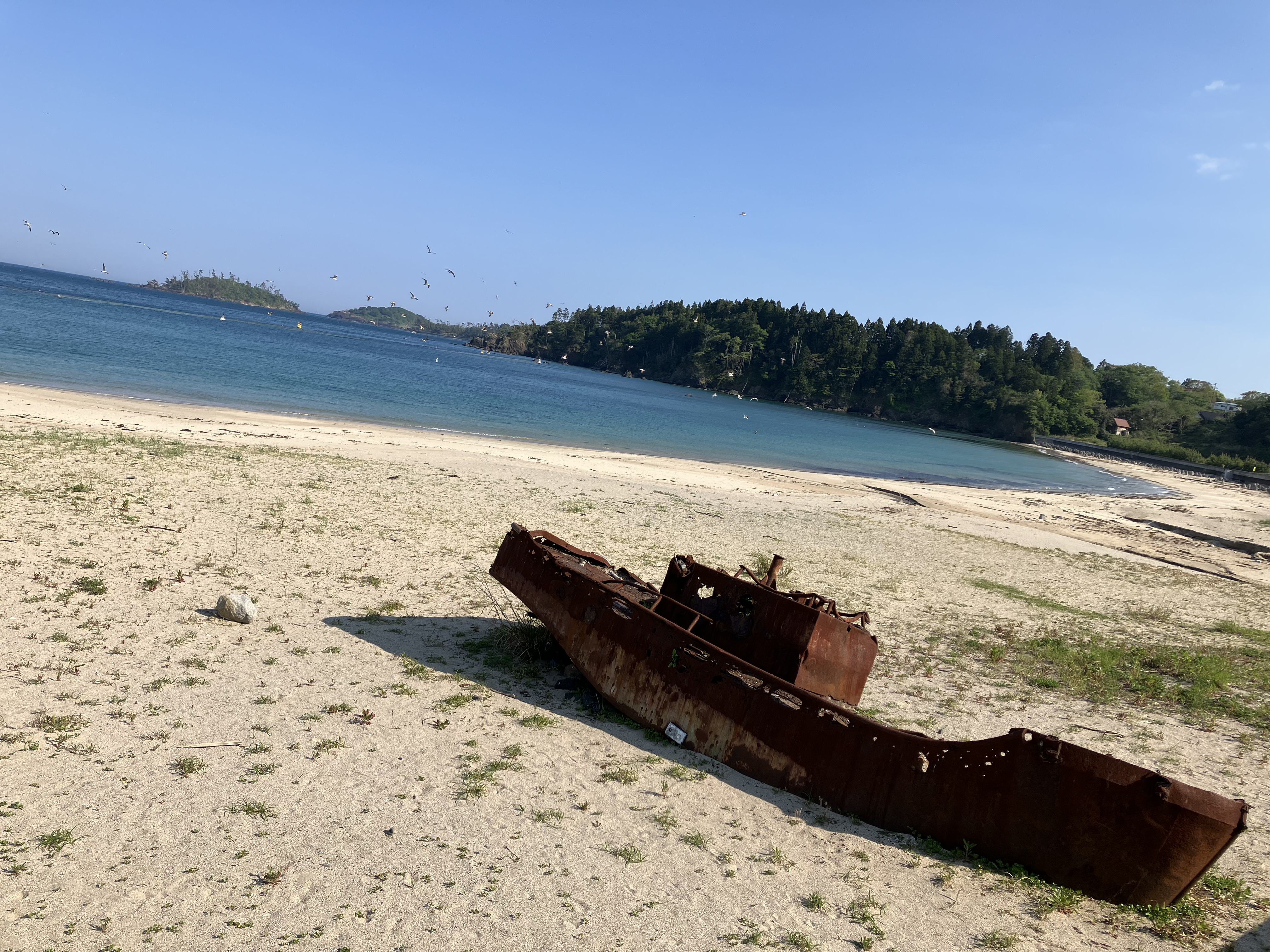 震災で流れ着いた船、錆びて自然と一体化。