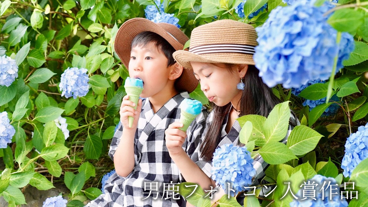 観光地【男鹿フォトコン入賞作品】　雲昌寺「絶好のロケーションでババヘラアイス」