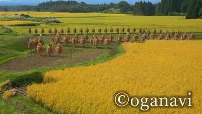 観光地　田園風景