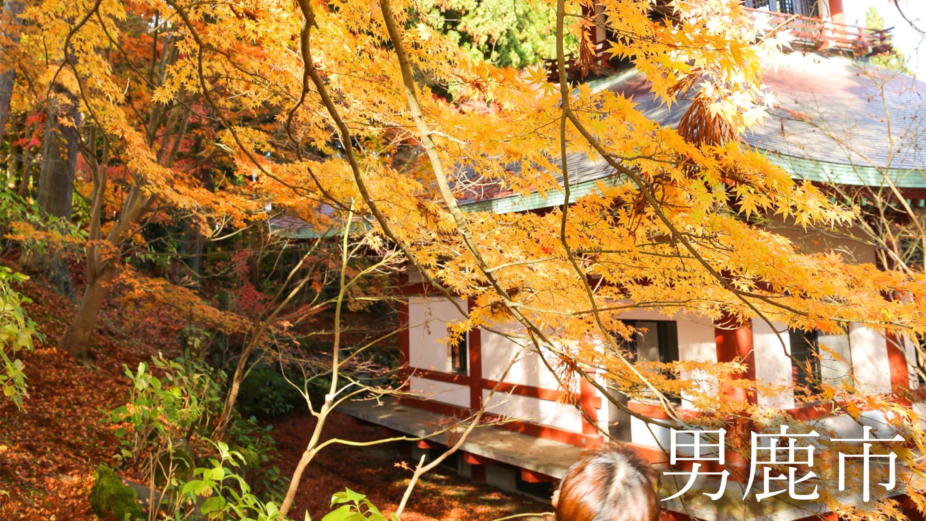 観光地　大龍寺　四季の移り変わりと共に景観が楽しめます。