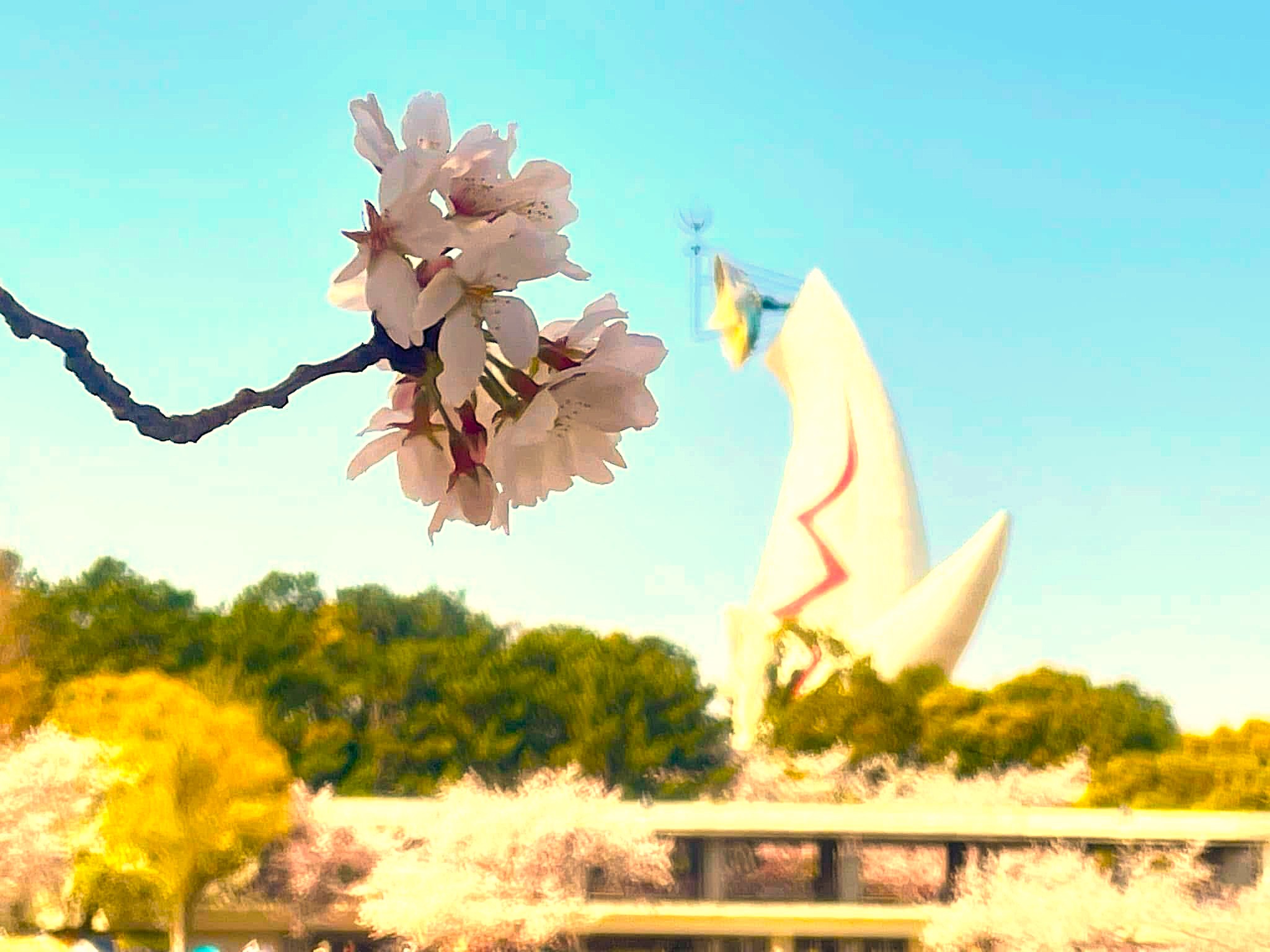 大阪北摂にも桜の季節到来です。