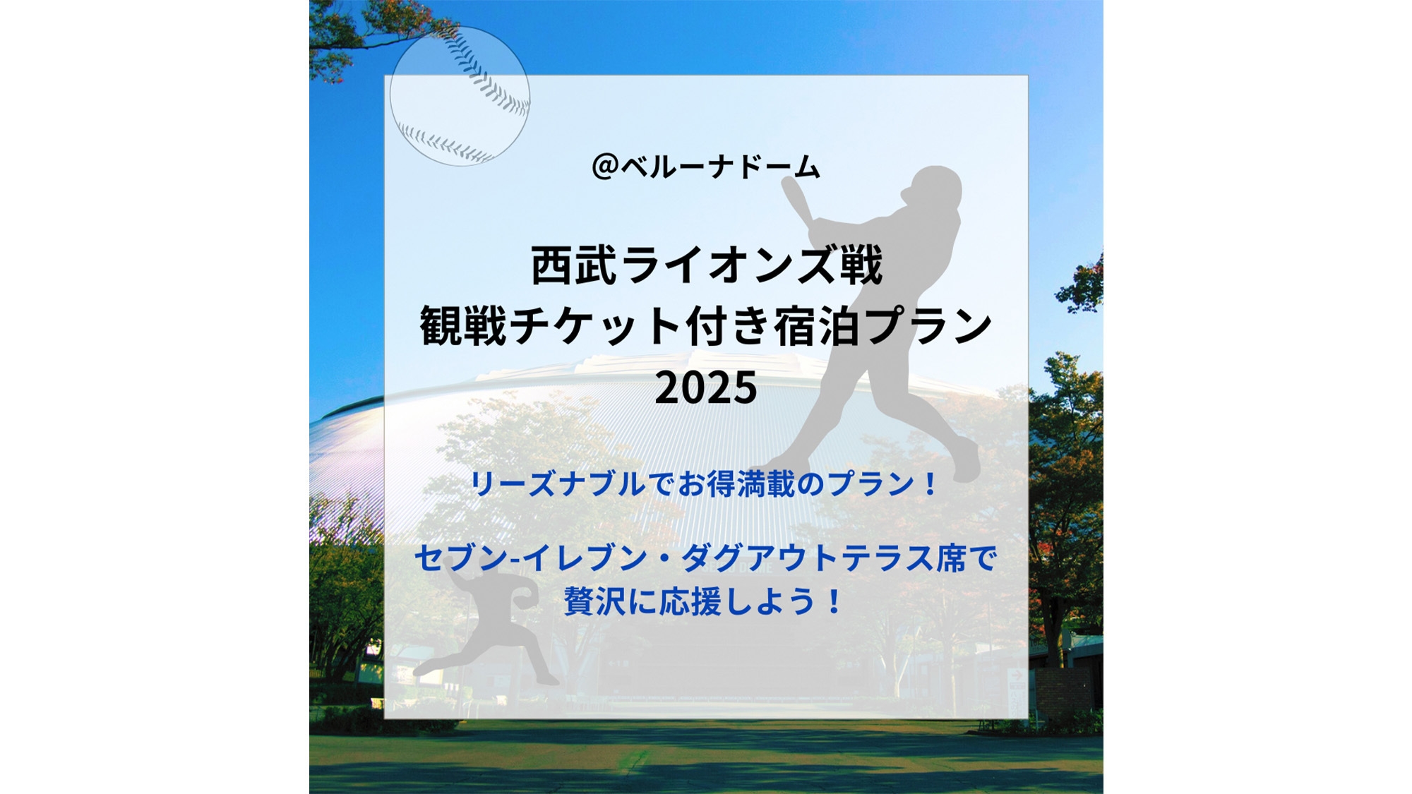 【ベルーナドームプロ野球観戦プラン】1日1組限定！西武ライオンズ戦のお得な内野席入場券付