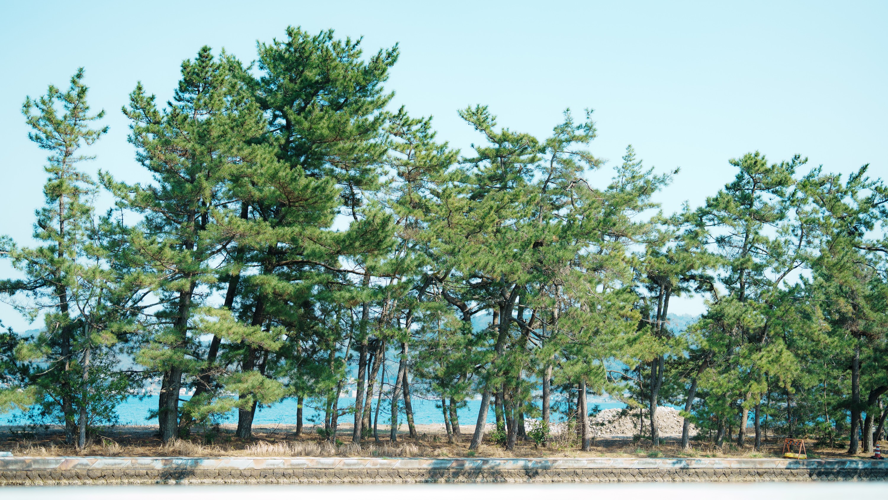 【客室からの眺望】