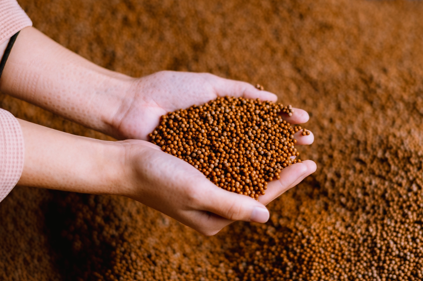 【朝食付き】ととのうリトリート　天香石サンドバス2回＆岩盤浴セットプラン　（無料送迎可能）