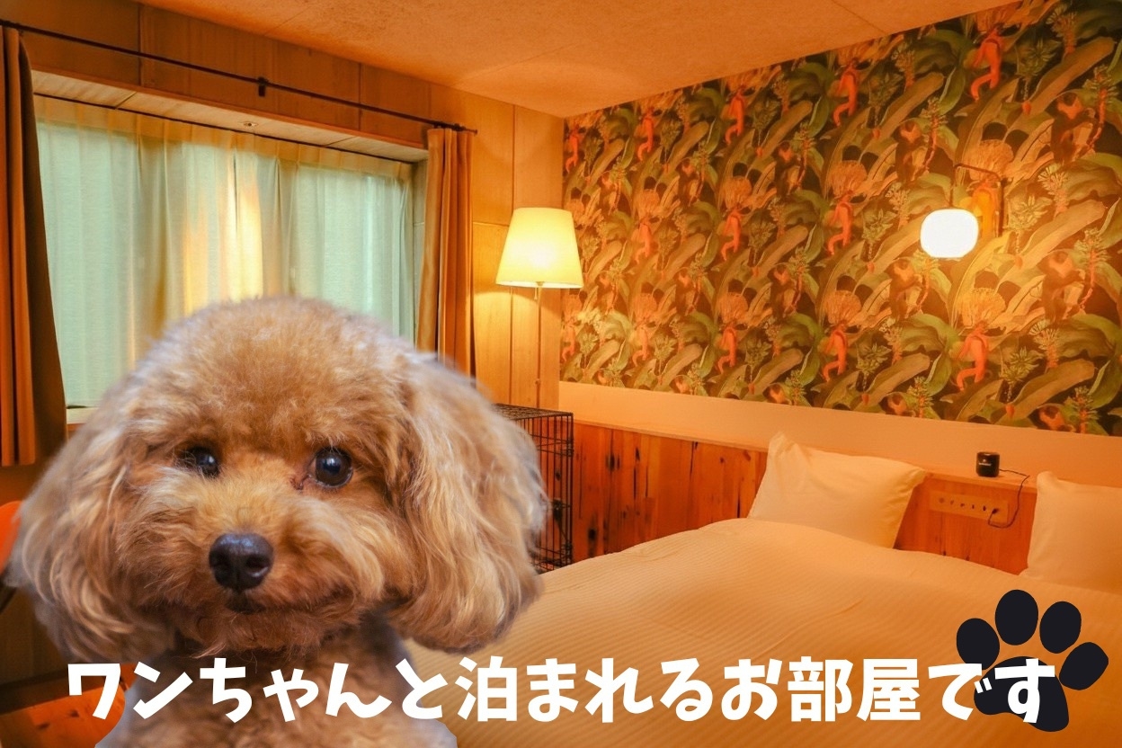 【愛犬と泊まれるお部屋】ワンちゃん同伴ルーム宿泊プラン ｜ 素泊まり