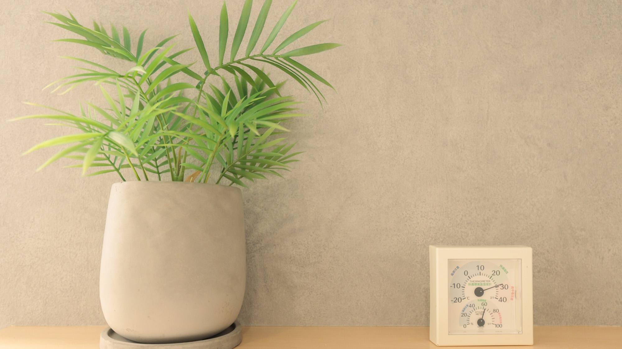 ・【客室】室内にいながら奄美の雰囲気を感じられるナチュラルな空気漂うお部屋です