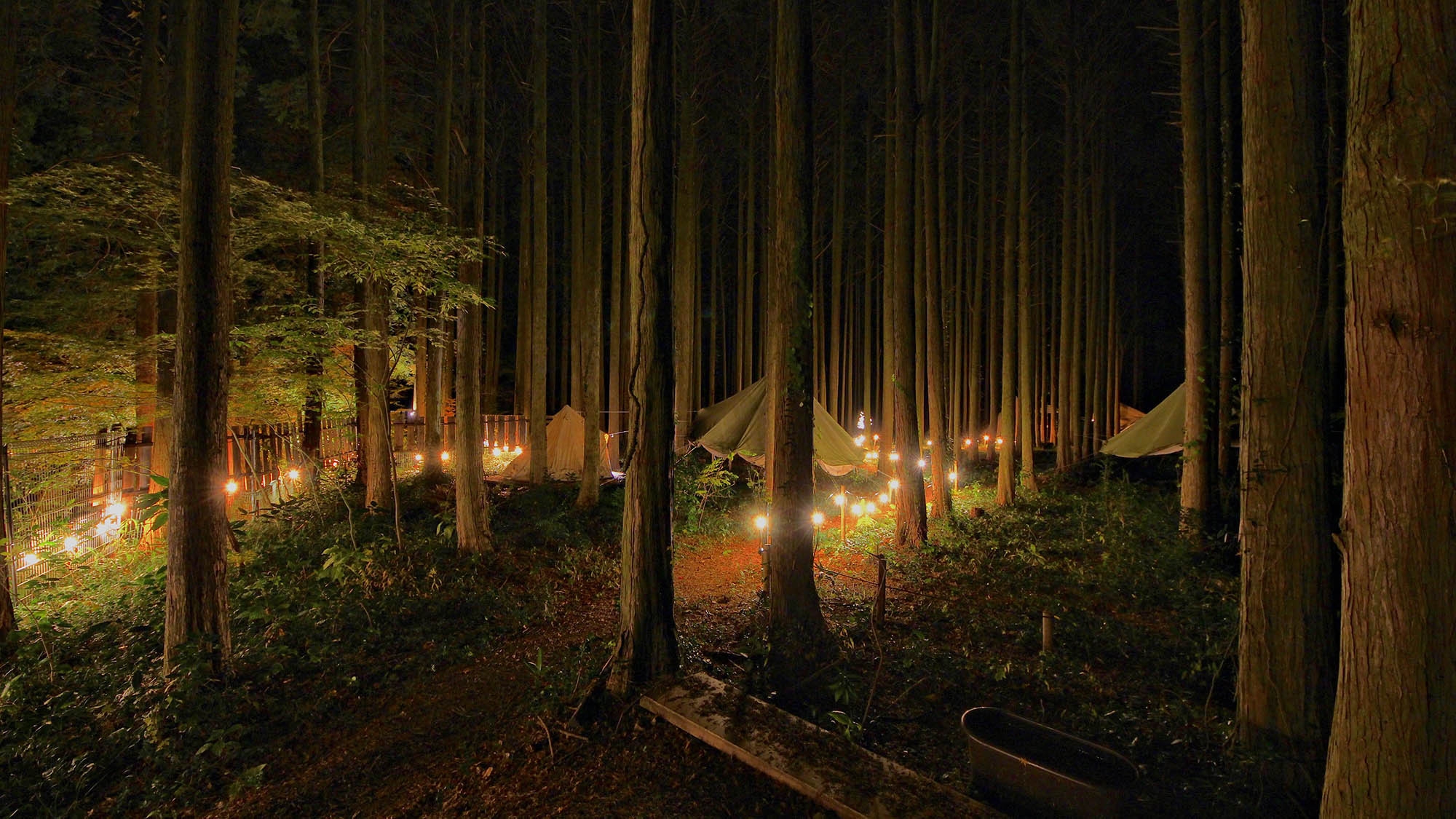 【天体観測】冬場の澄んだ空気で星空×キャンプ♪今だけの体験を