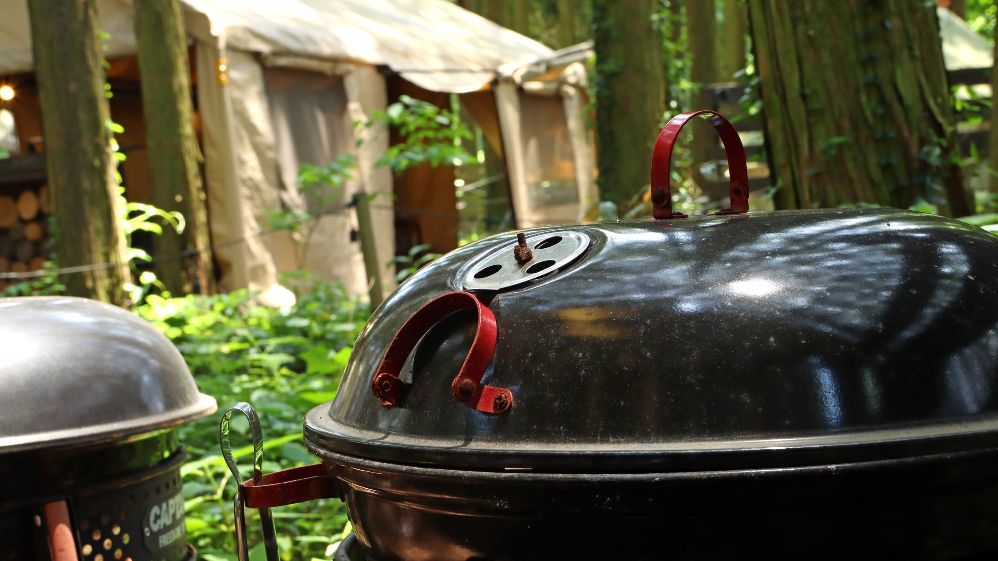 食材付きBBQ★南阿蘇の自然で育ったこだわり食材♪ボリューム満点のTボーンステーキ付【ペット可】