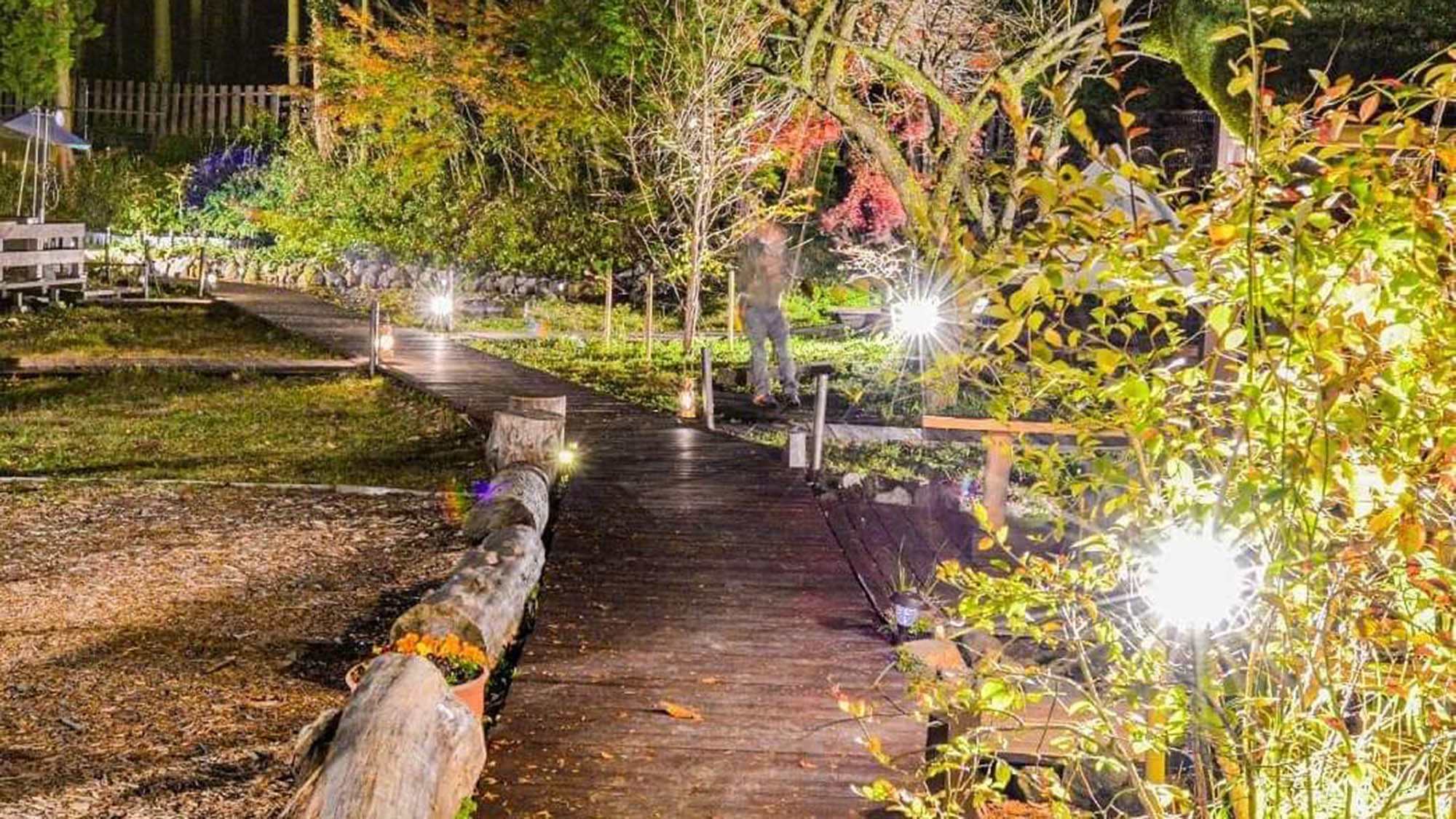 ・【上質なキャンプ】舗装された道で歩きやすく、お子様にも安心です