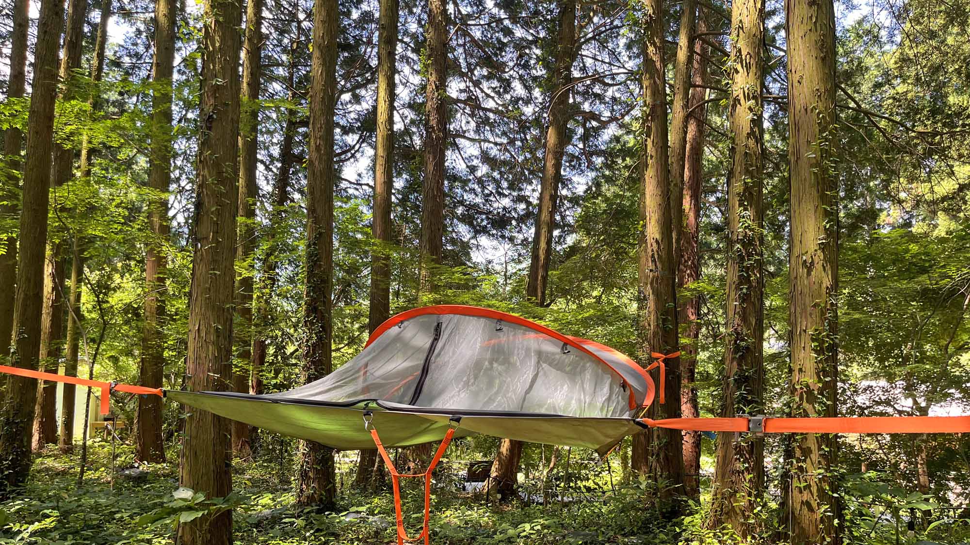 森林浴でのんびり