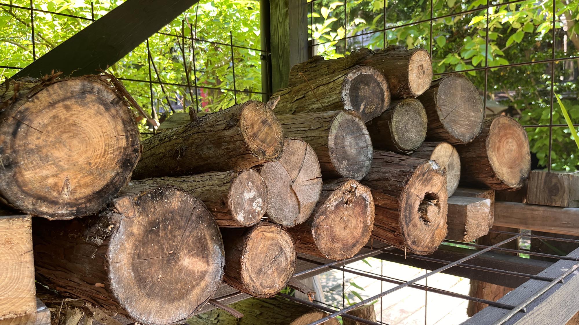 天然の材木を使用しています