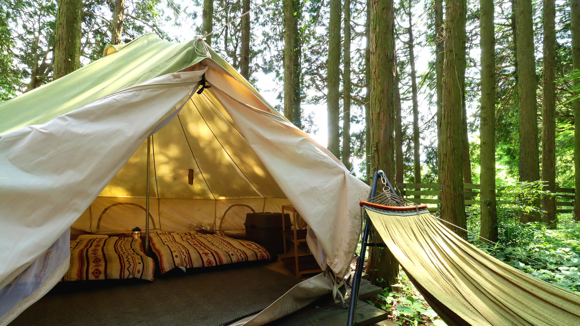 【客室_12㎡テント】〈ペット可〉木々の影で夏でも涼しい
