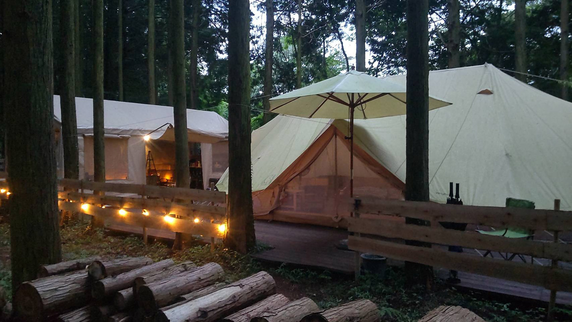 ・【テントサイト】木々に囲まれてリフレッシュ！夜間はライトアップ致します