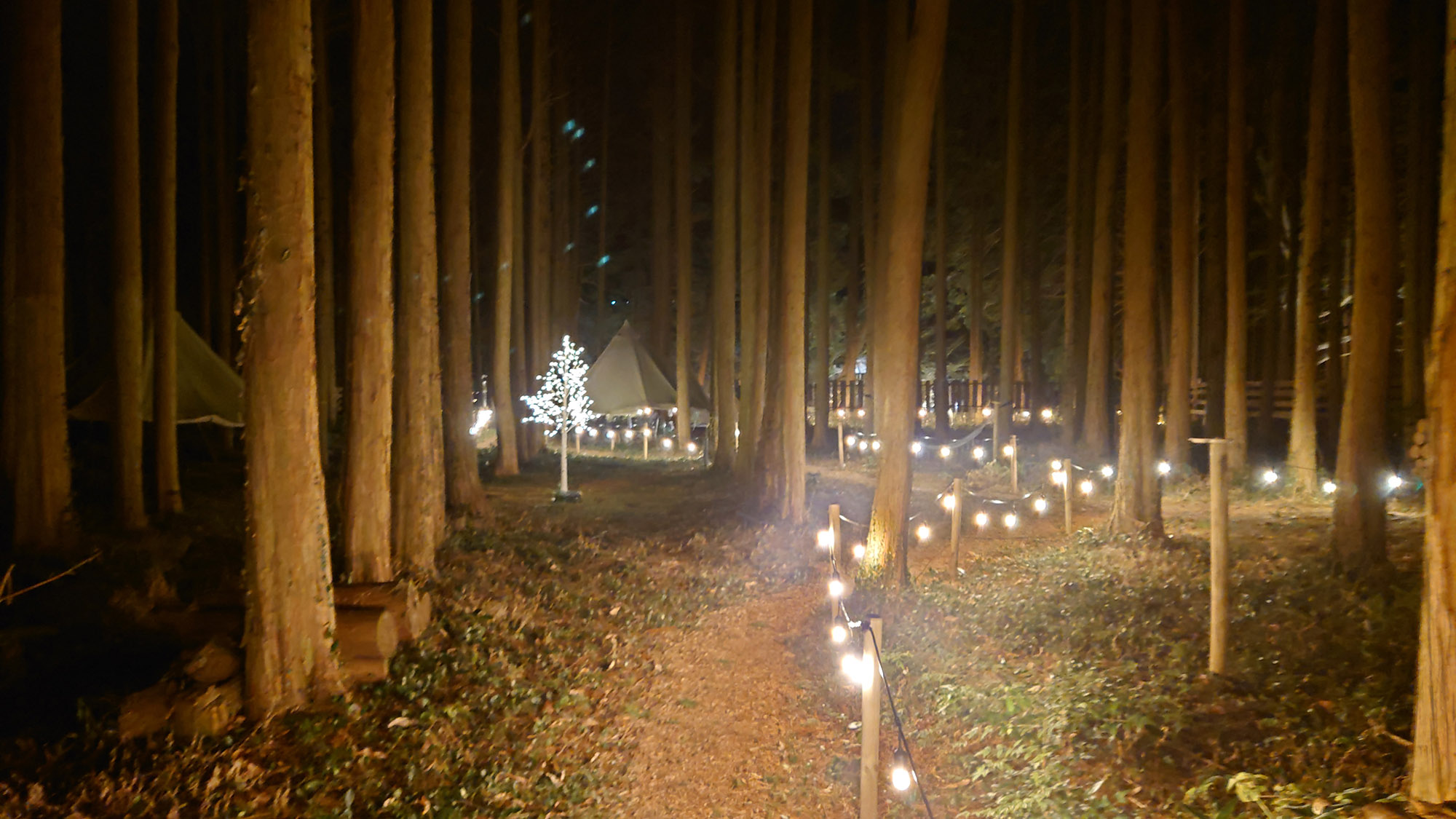 ・【テントサイト】夜間でも照明あるのでフロントや共同水洗トイレへ行くときも安心