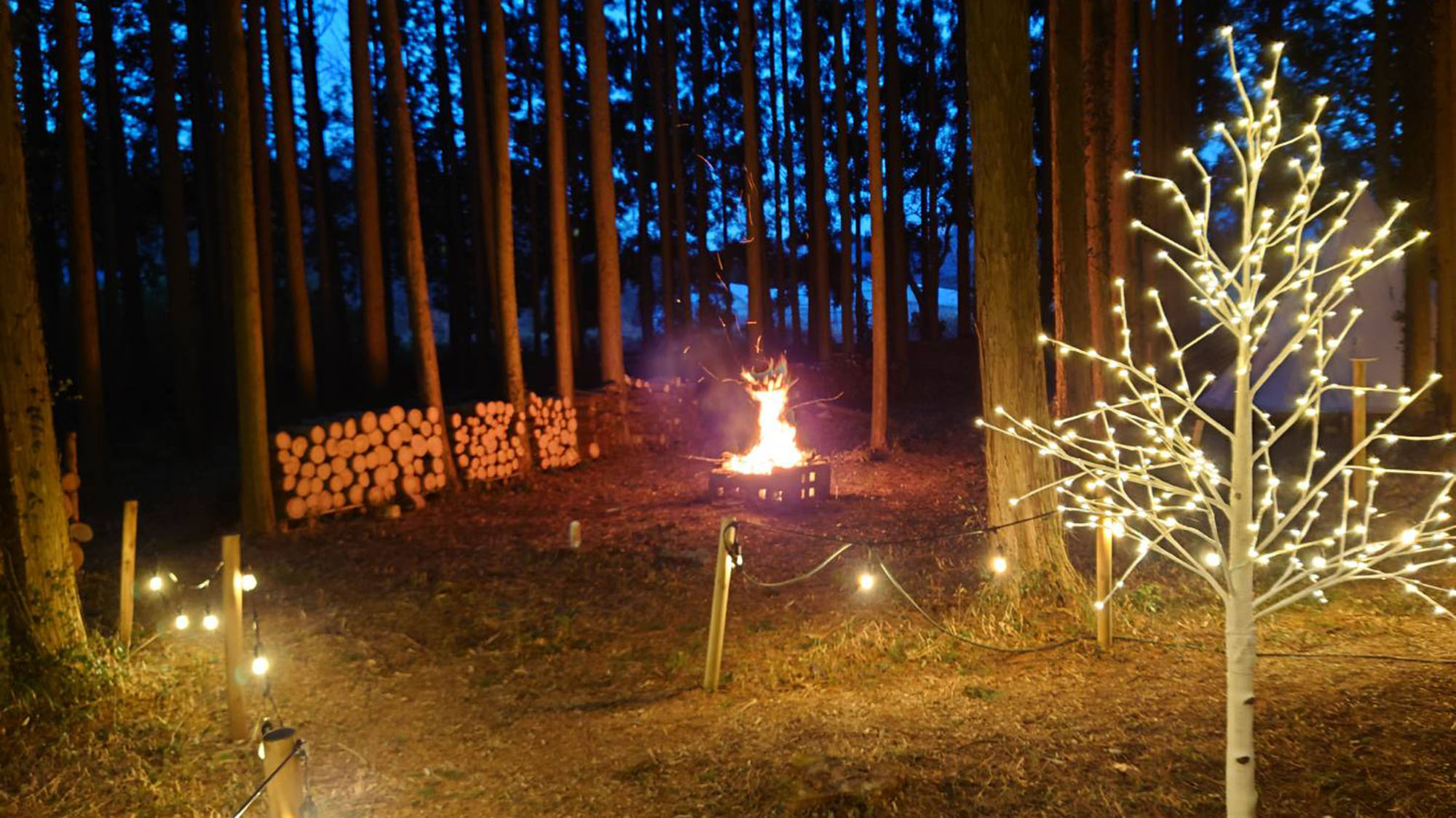 ・【テントサイト】焚火を囲んでキャンプファイヤー♪盛り上がれること間違いなし！