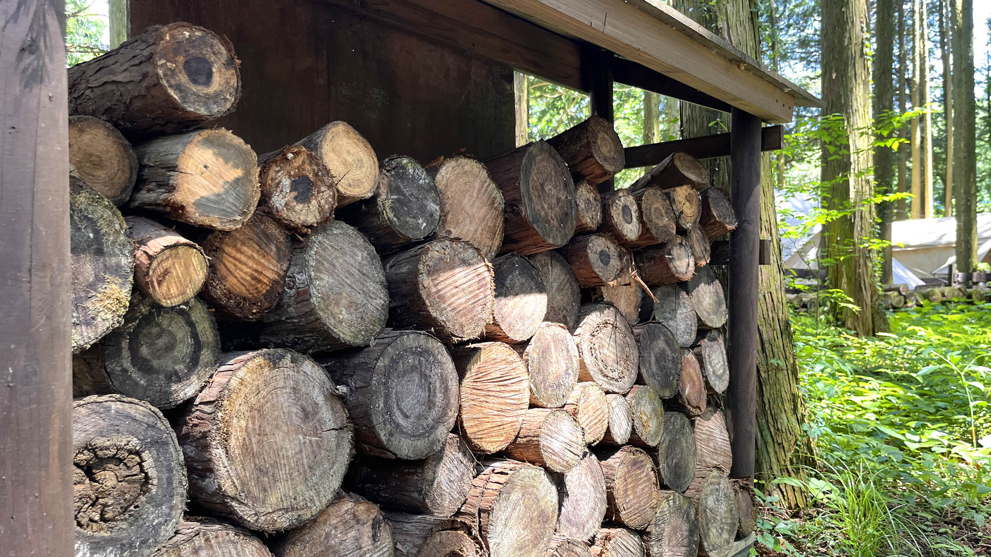 天然の木材使用