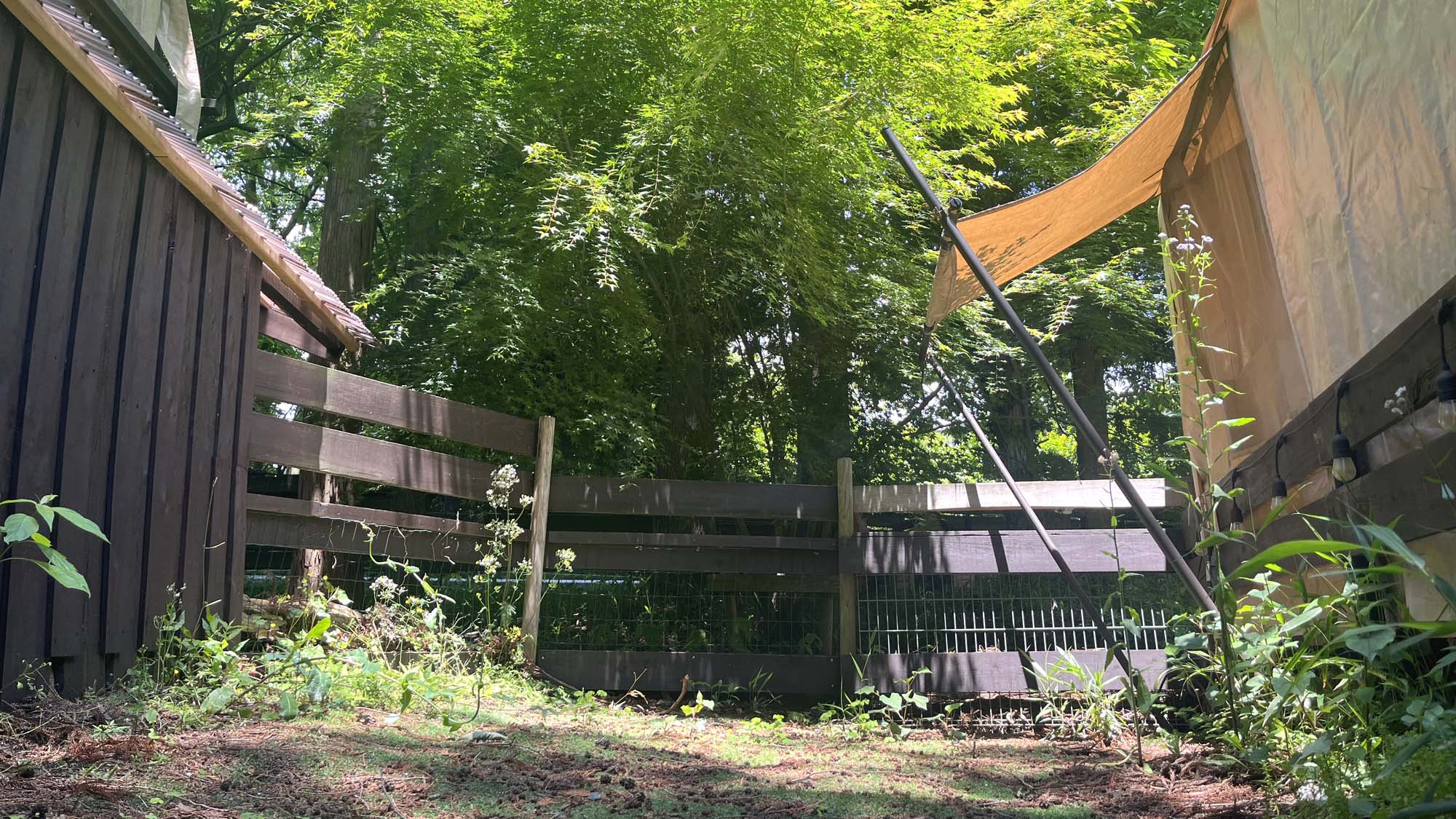 【客室_20㎡テントB】〈ミニドッグラン付〉自然一杯のドックランでのびのびと