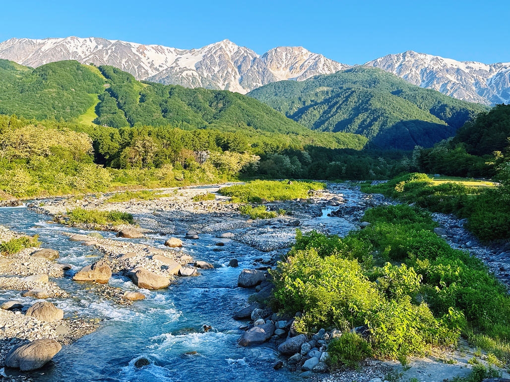 【長期滞在応援】天然温泉・簡単朝食付〜ゲストハウスを拠点に白馬を深く味わう
