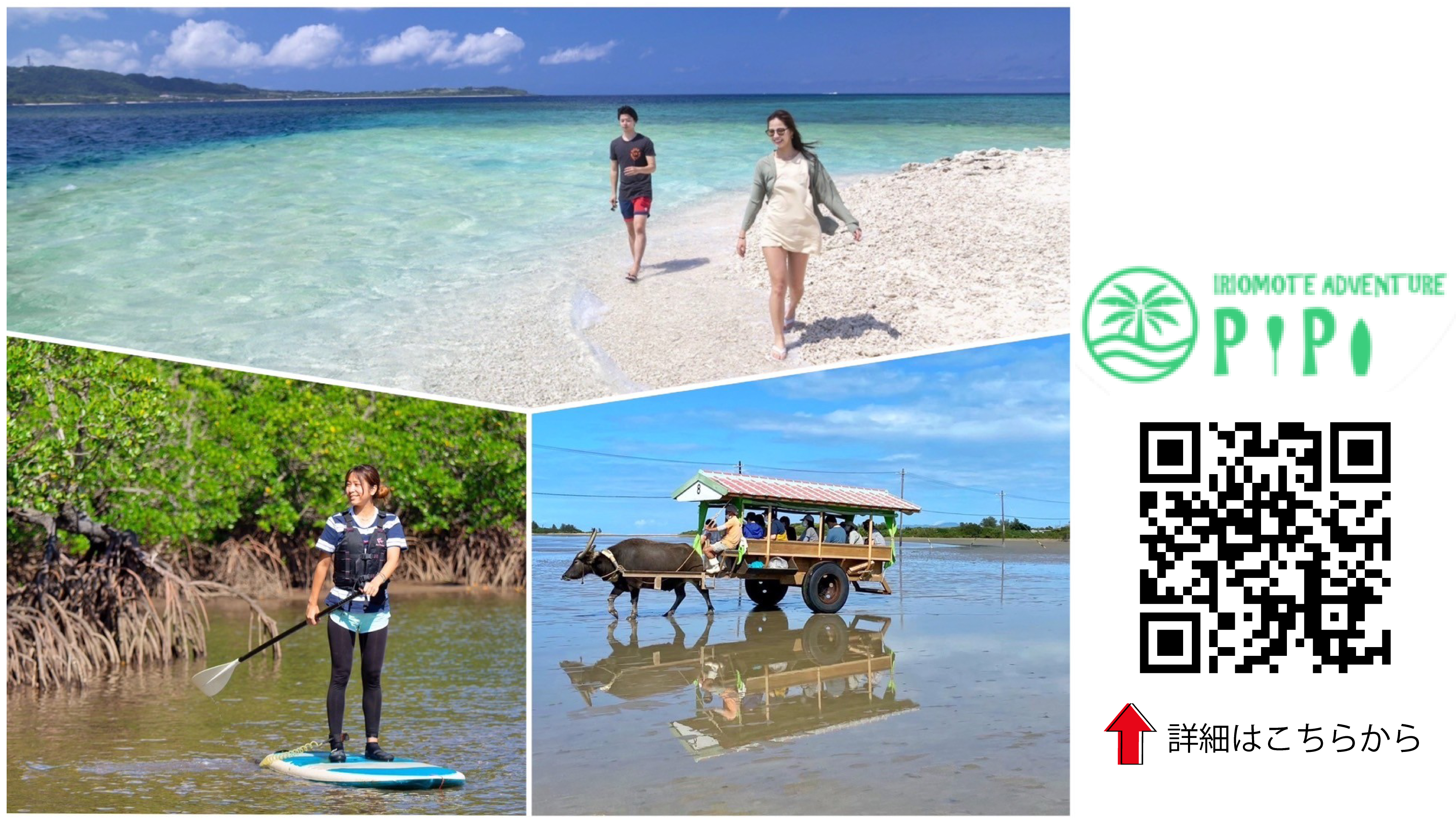 【アクティビティのご案内】西表島でもっと非日常体験！