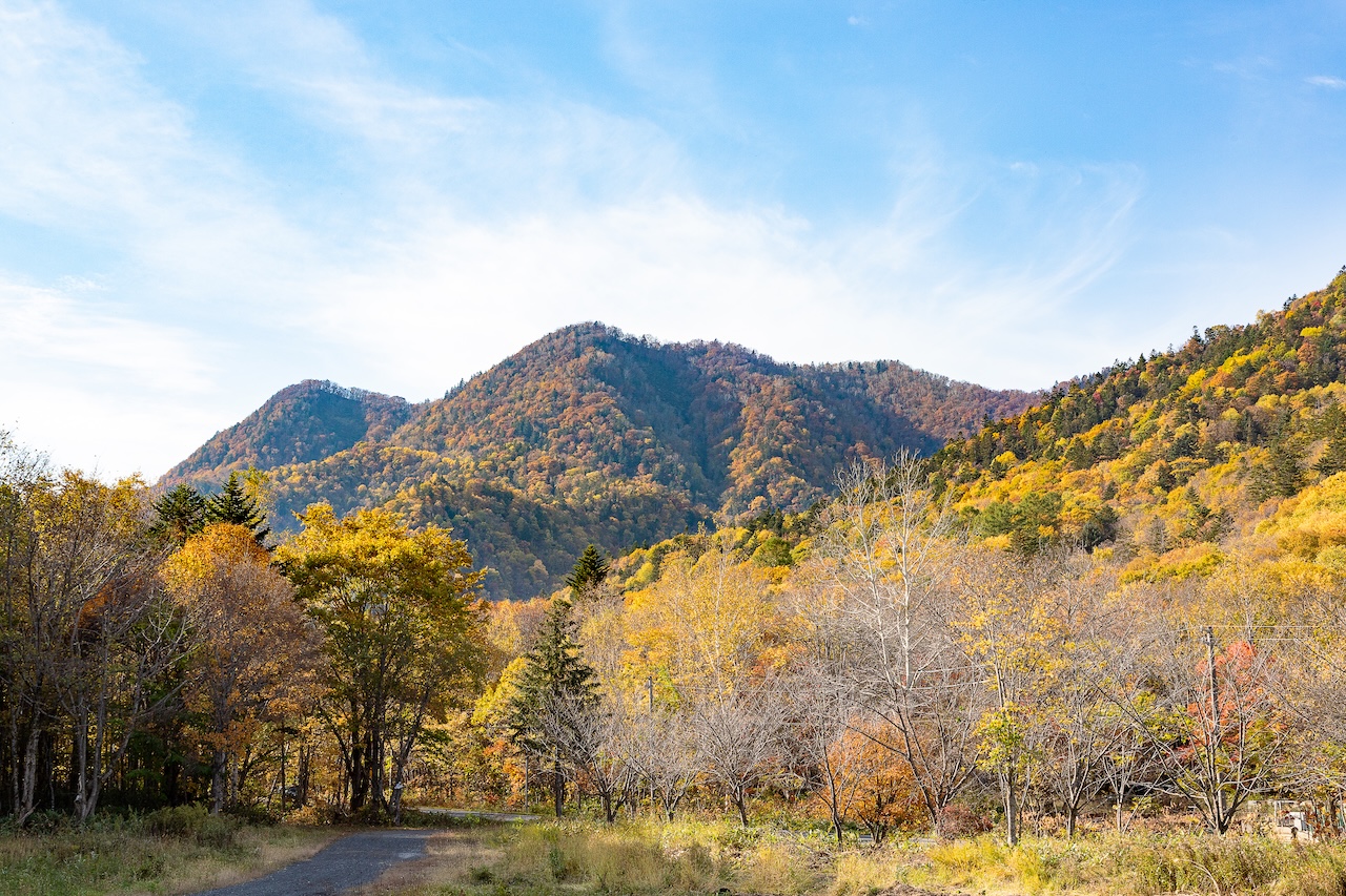 秋の周辺景色、　春は桜がお出迎え
