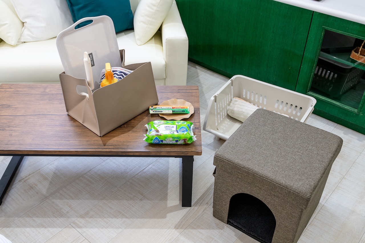 RoomNo：6　Green　ペット同泊OKスタンダードツイン46㎡