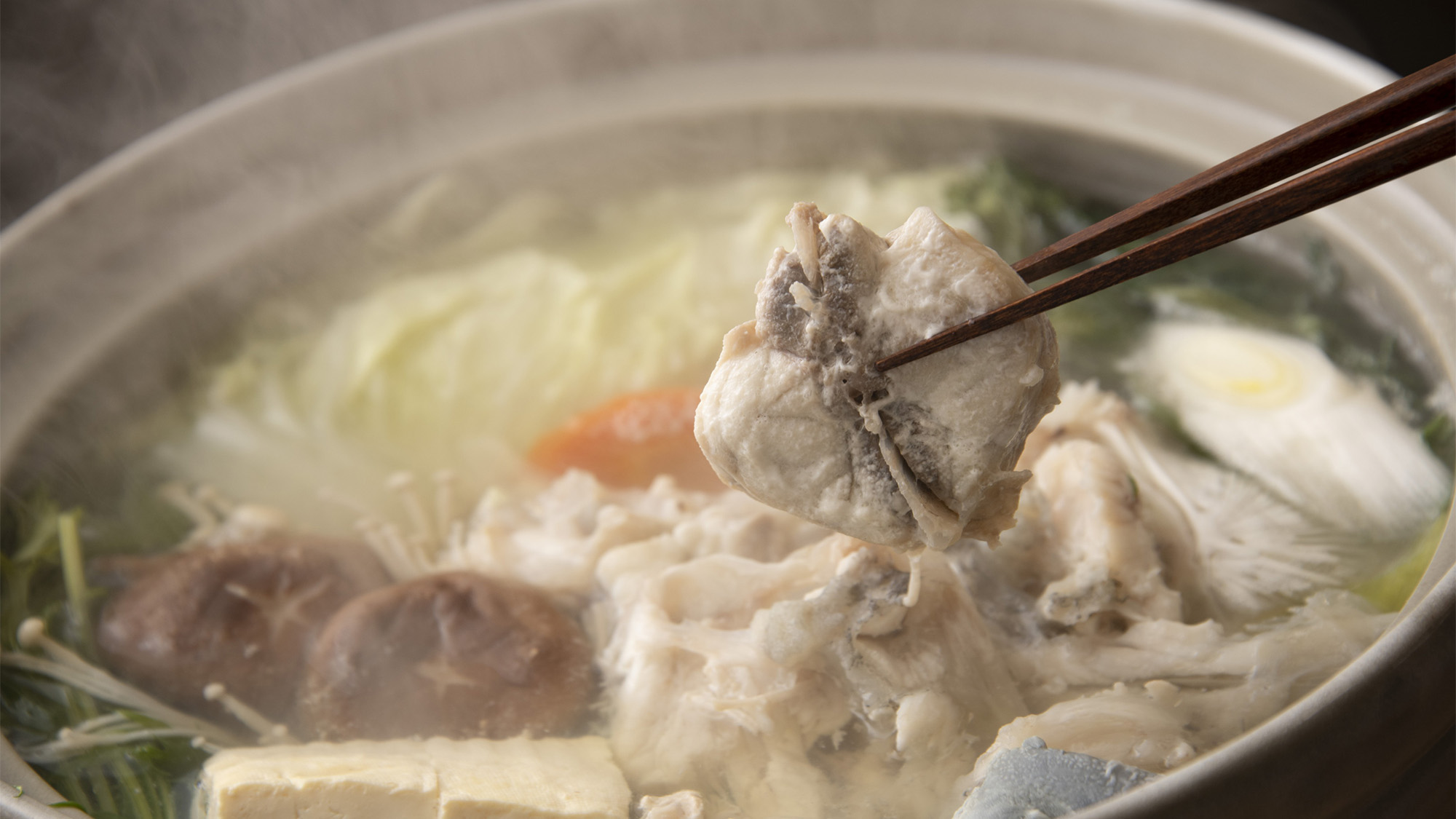 ・【夕食一例/ふぐ鍋】上品なだし香るとらふぐ（若狭ふぐ）で味わう極みのてっちり