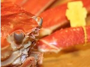 茹で・焼き・刺し！越前蟹！大蟹満喫フルコース【茹で蟹１名様につき１杯】