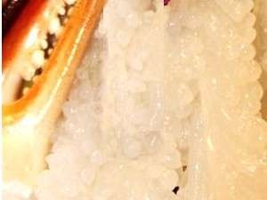 茹で・焼き・刺し！越前蟹！大蟹満喫フルコース【茹で蟹１名様につき１杯】