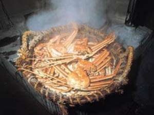 越前蟹入門！中蟹１杯と海鮮のリーズナブルプラン【茹で蟹２名様につき１杯】