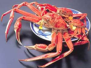 茹で・焼き・刺し！越前蟹！大蟹満喫フルコース【茹で蟹１名様につき１杯】