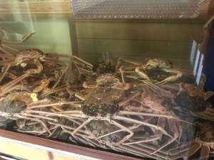 女将にお任せ！熱々ゆで蟹１杯丸ごとプラン　【茹で蟹１名様につき１杯】