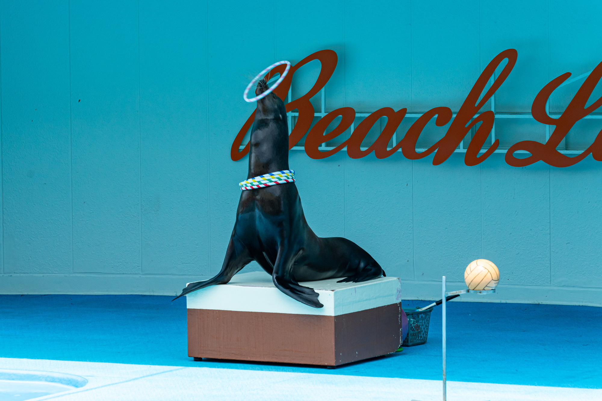 ☆南知多ビーチランド