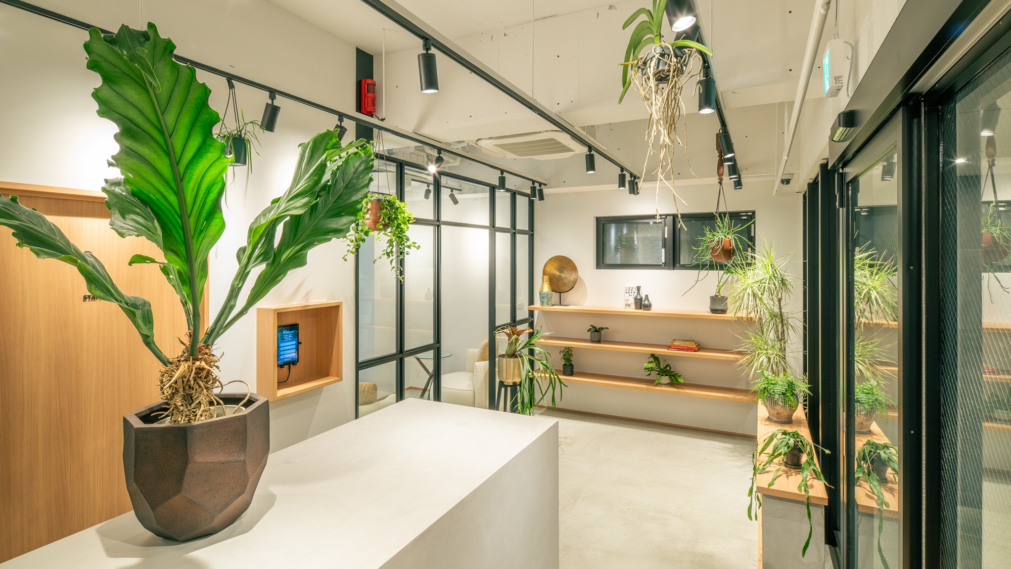 お部屋エントランス