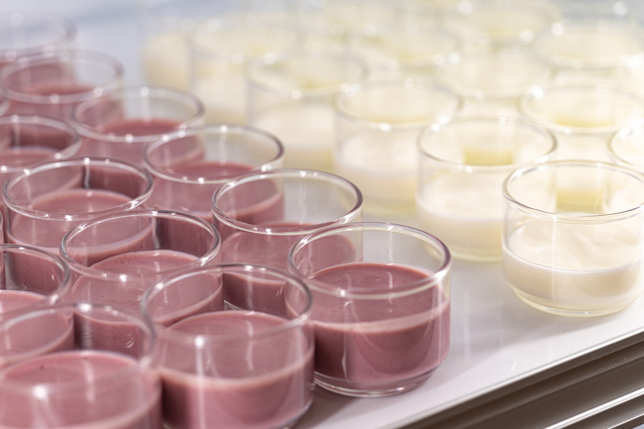 【朝食・ヨーグルト】