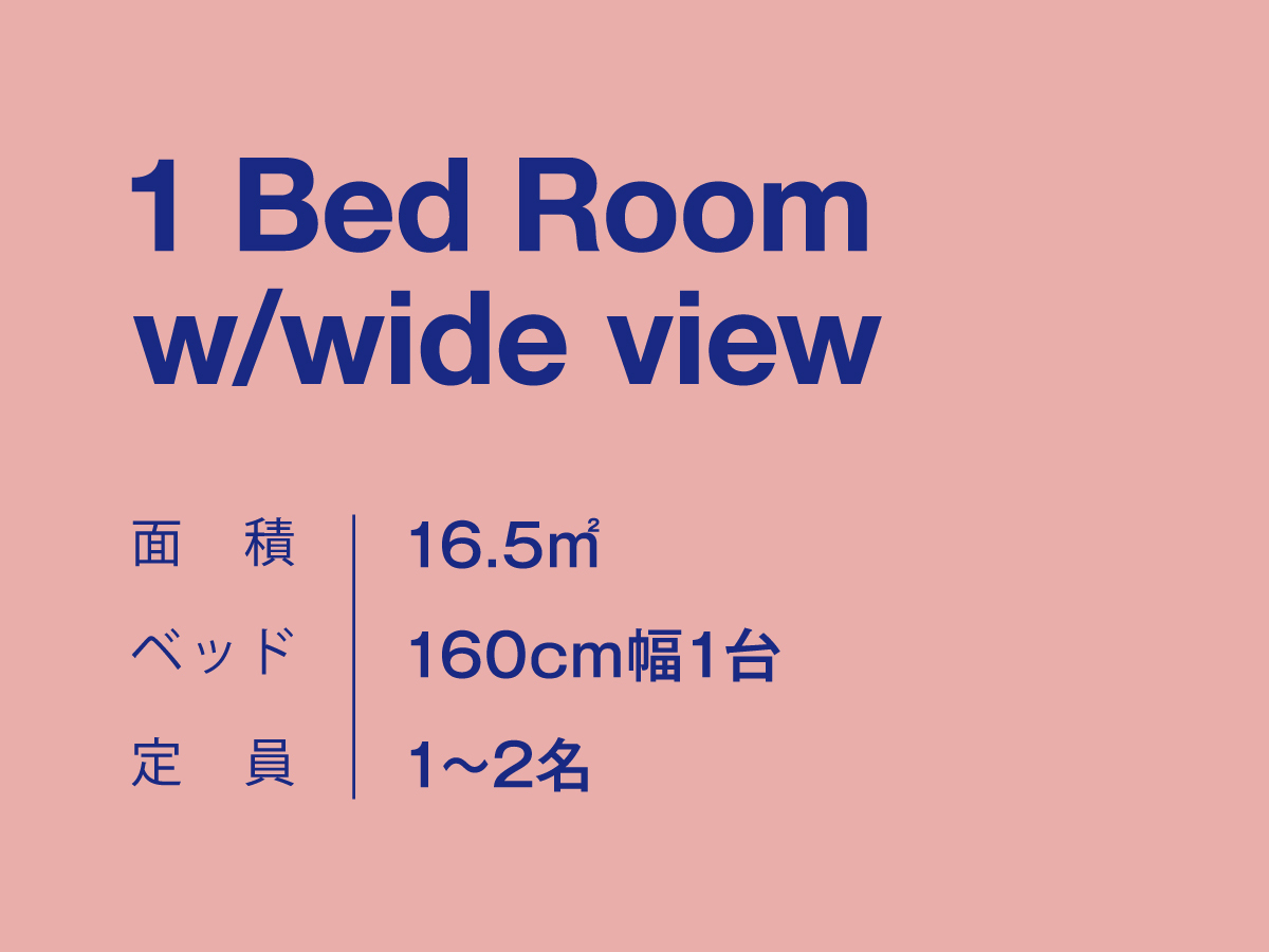 1 Bed Room w/wide view